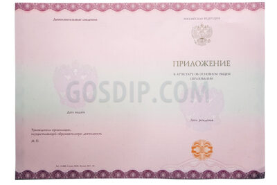 аттестат за 9 класс 2021-2025 - приложение